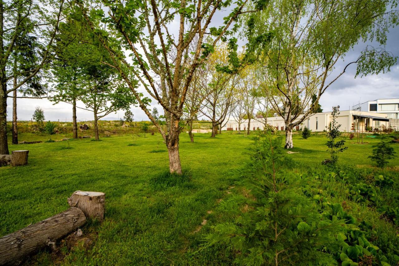 Quinta Chao Da Bispa Oliveira do Hospital Exteriör bild