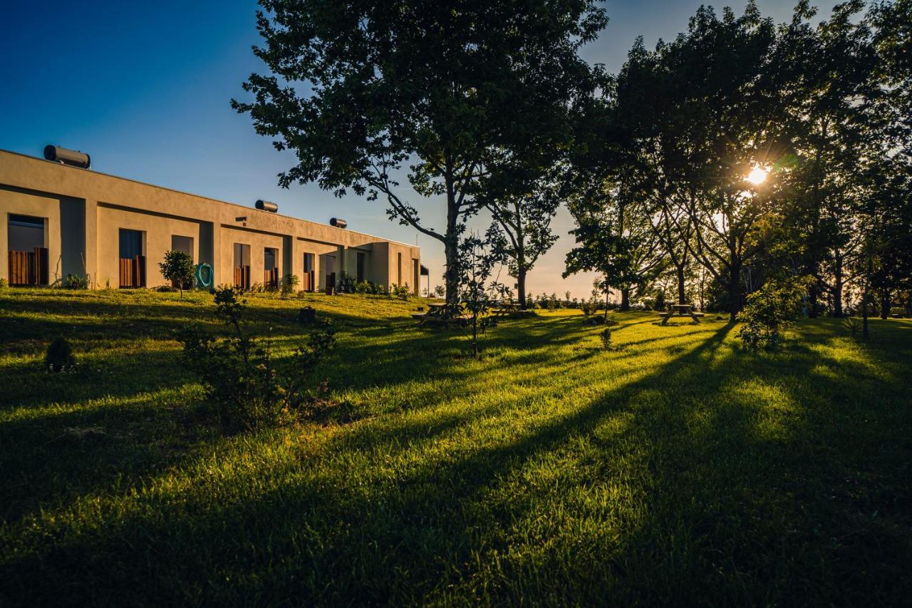 Quinta Chao Da Bispa Oliveira do Hospital Exteriör bild